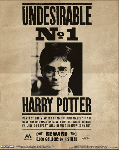 Pyramid International - Wholesale Poster - Harry Potter (Harry & Sirius) 3D Lenticular0
