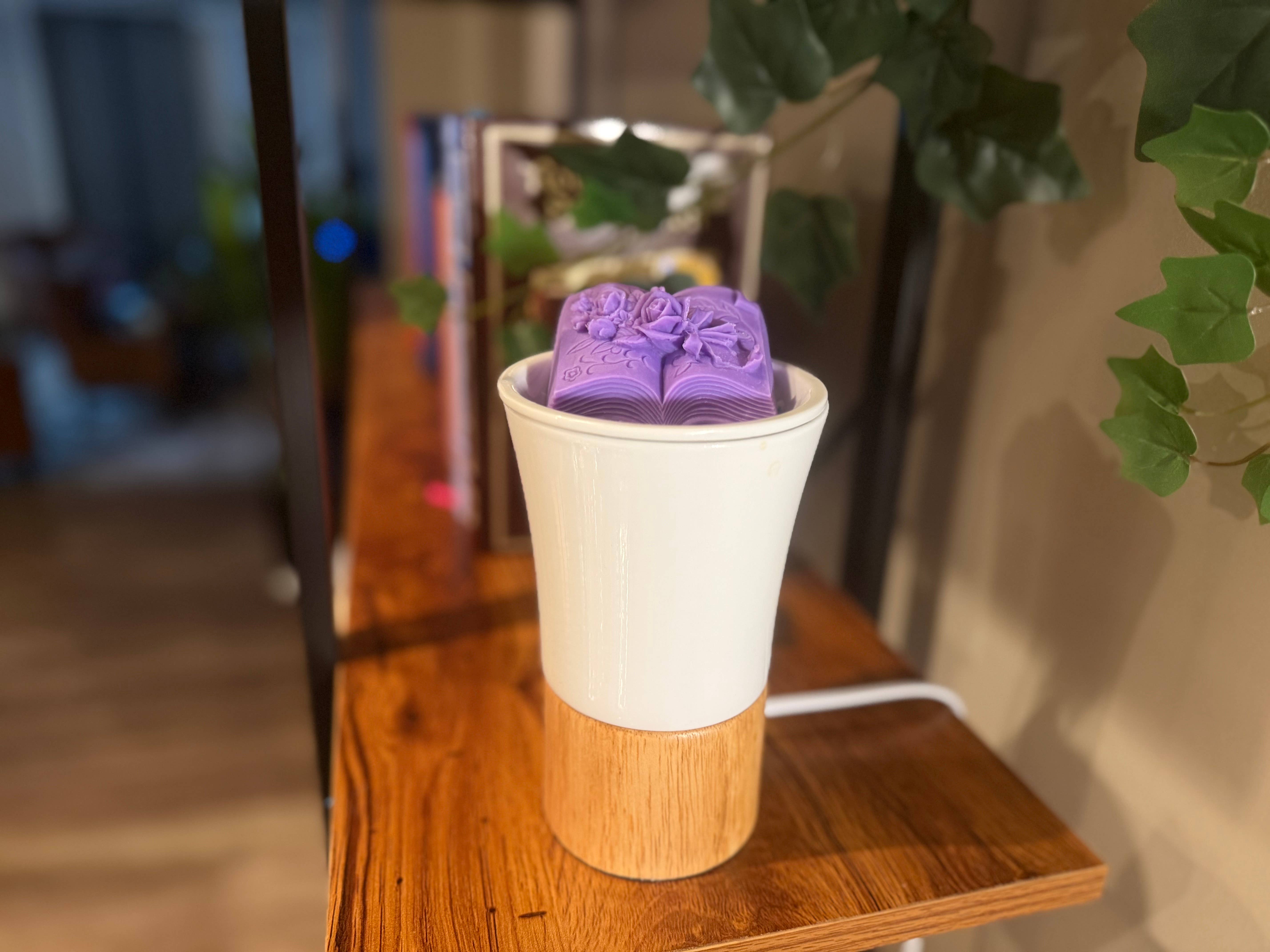 Fantastical Wicks - Wholesale Wax Melt - Enchanted Storybook - Sugar Plum Punch Wax Melts1