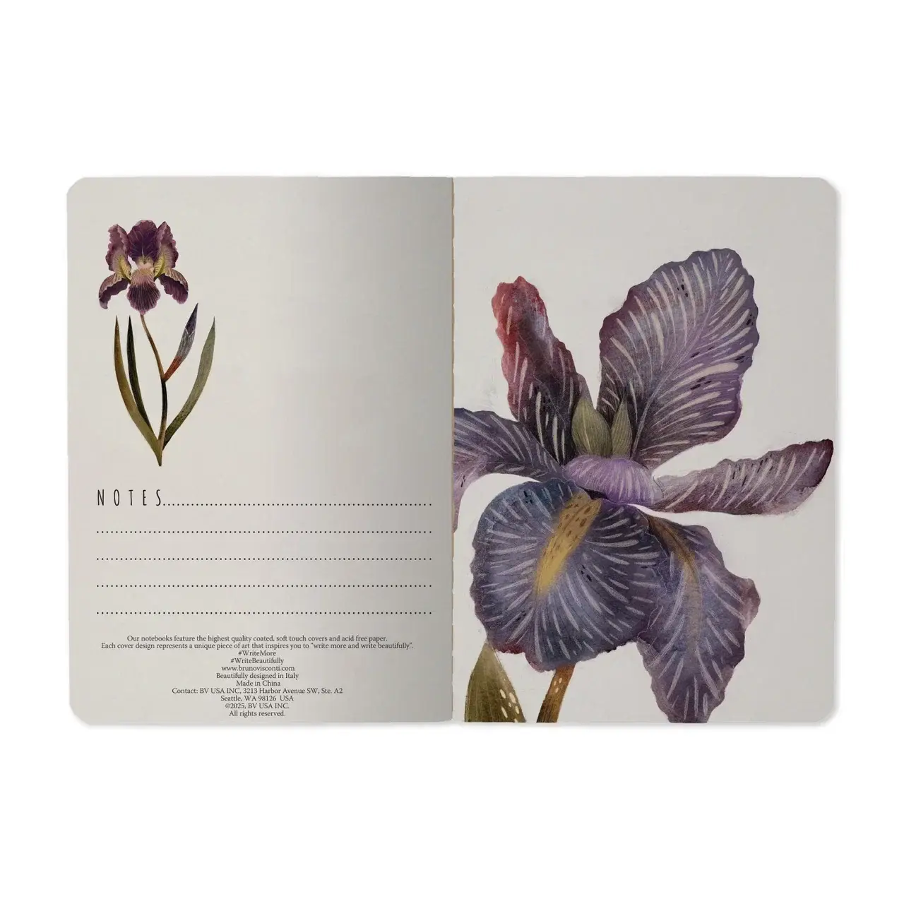 BV by Bruno Visconti - Wholesale Notebook - A6 Passport Notebook  - Irises 1