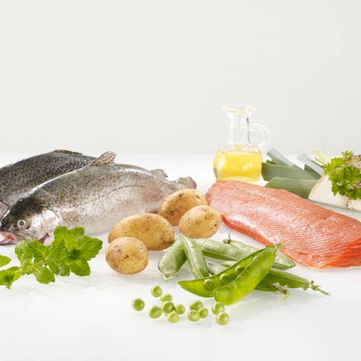 WESTHO - Wholesale Pet Food - Dog - dog food Sylt 400g (with 75% wild salmon & trout)1