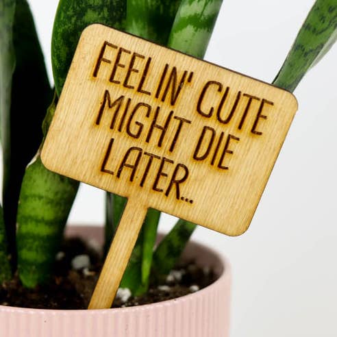 Laser Cut Wooden Plant Sign for wholesale by Oh, Hello Paper & Gifts