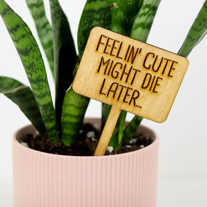 Laser Cut Wooden Plant Sign for wholesale by Oh, Hello Paper & Gifts