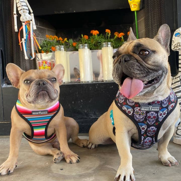 Beast & Buckle - Wholesale Pet Harness - Dog - Sugar Skulls Reversible Dog Harness1