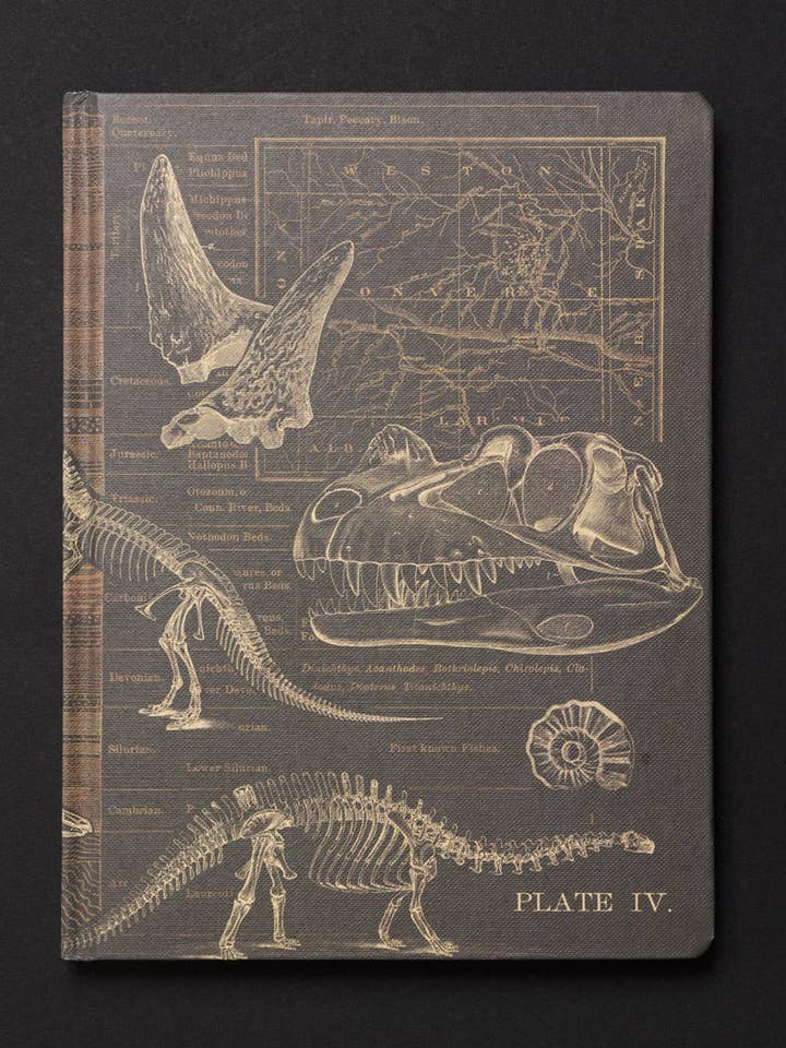 Cuaderno de Materia Oscura de Dinosaurios (Caja de 6) para venta al por mayor de Cognitive Surplus