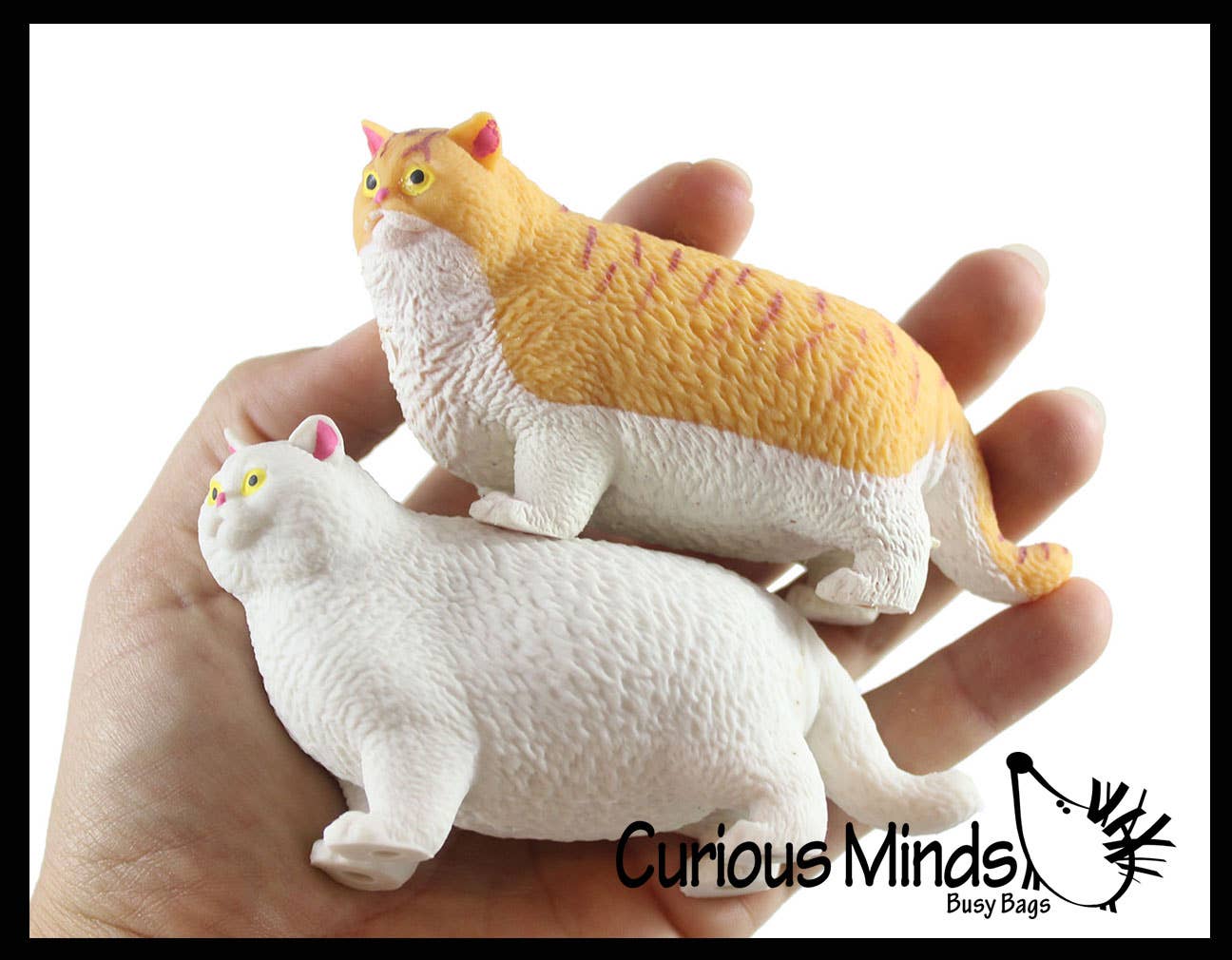 Curious Minds Toys - Wholesale Squishy Toy - Kids & Baby - 1 Fat Stretchy Cat Crushed Bead Sand Filled - Kitty Lover Se6