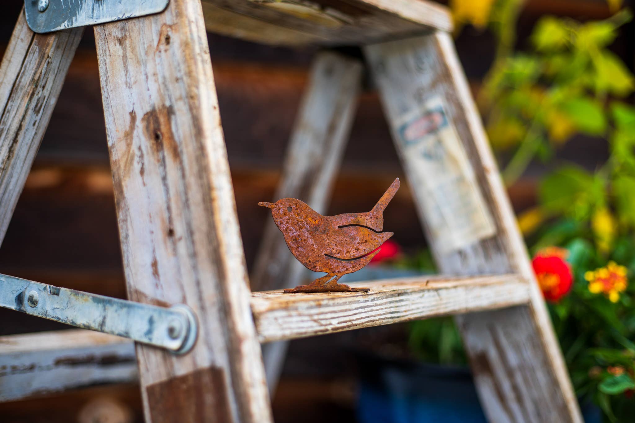 Elegant Garden Design - Wholesale Outdoor Ornament/Decor - Carolina Wren Tab8