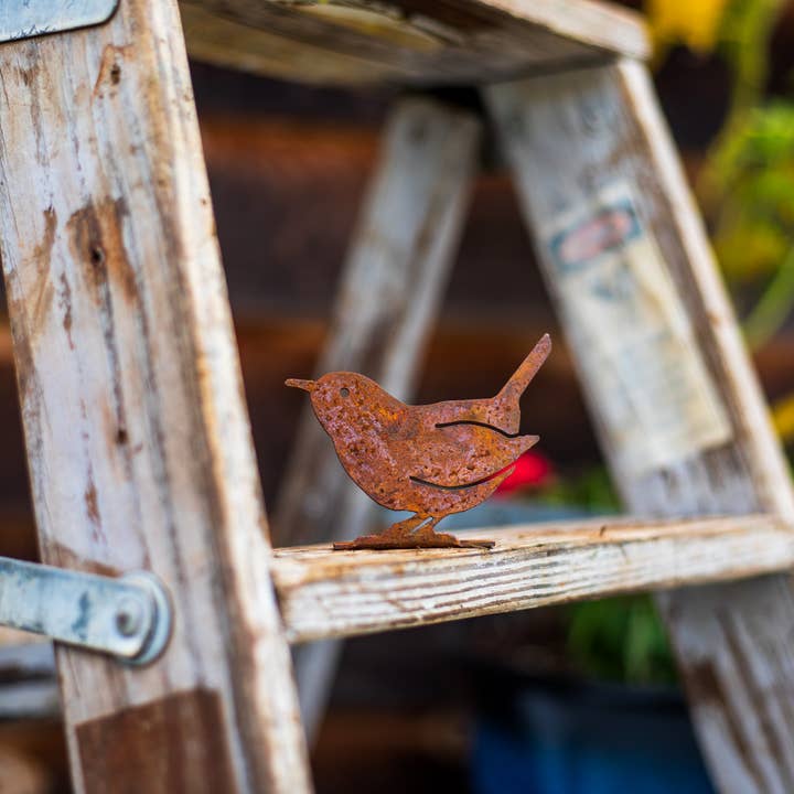 Elegant Garden Design - Wholesale Versiering/decoratie voor buiten - Carolina Winterkoning Tab8