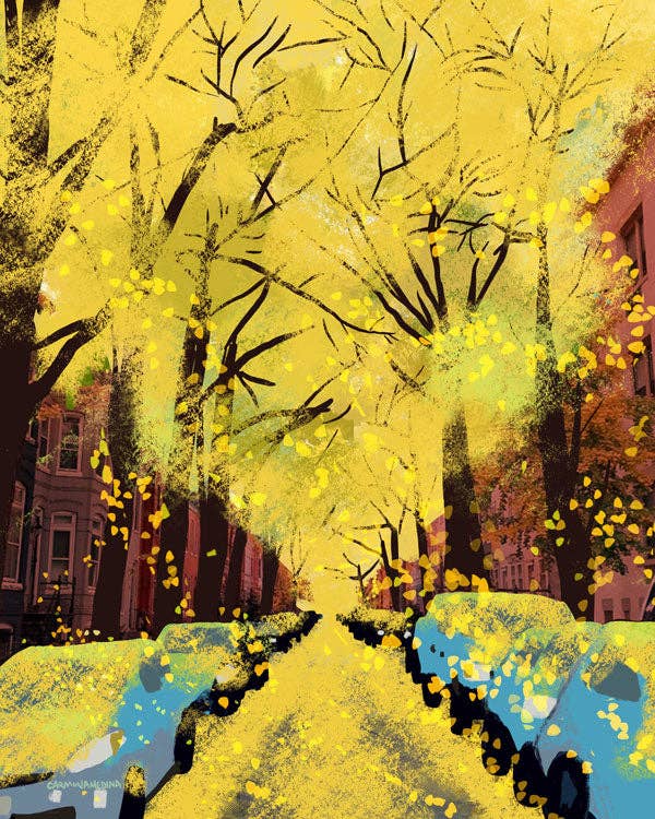 The Culture Curious - Wholesale Postcard - Gingko Trees on Swann Street postcard2