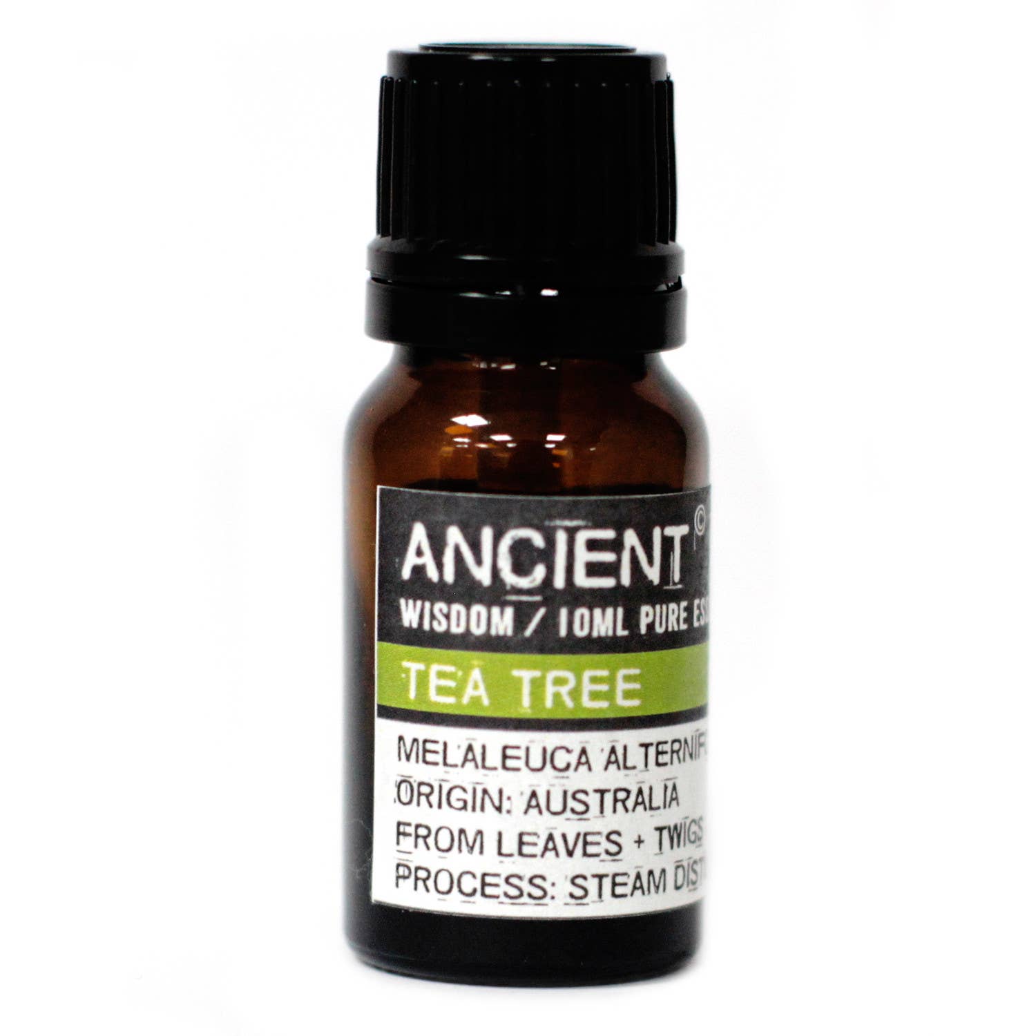 Ancient Wisdom – wholesale Essential oil – Tea Tree Essential Oil Special1