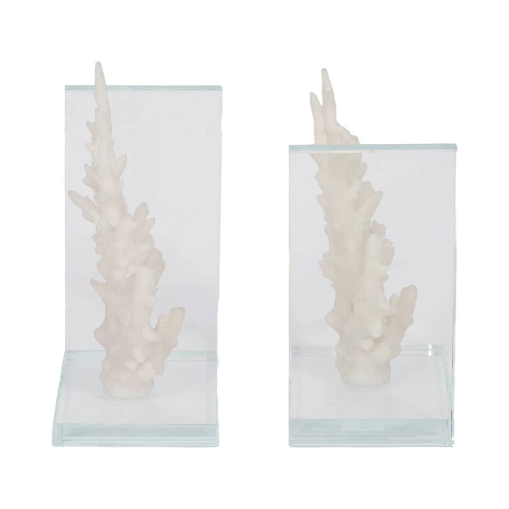 Sagebrook Home - Wholesale Bookend - Bookends Set of 2 - White Resin Coral on Glass, 7 in.9