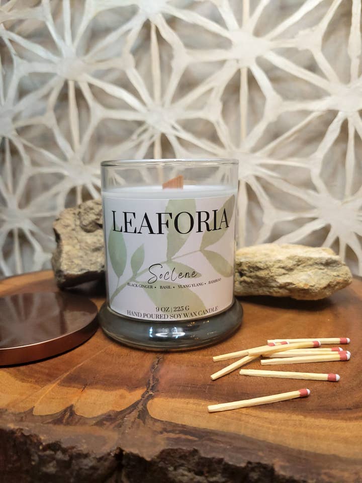 Candela 'Soclen' per la vendita all'ingrosso da parte di Leaforia