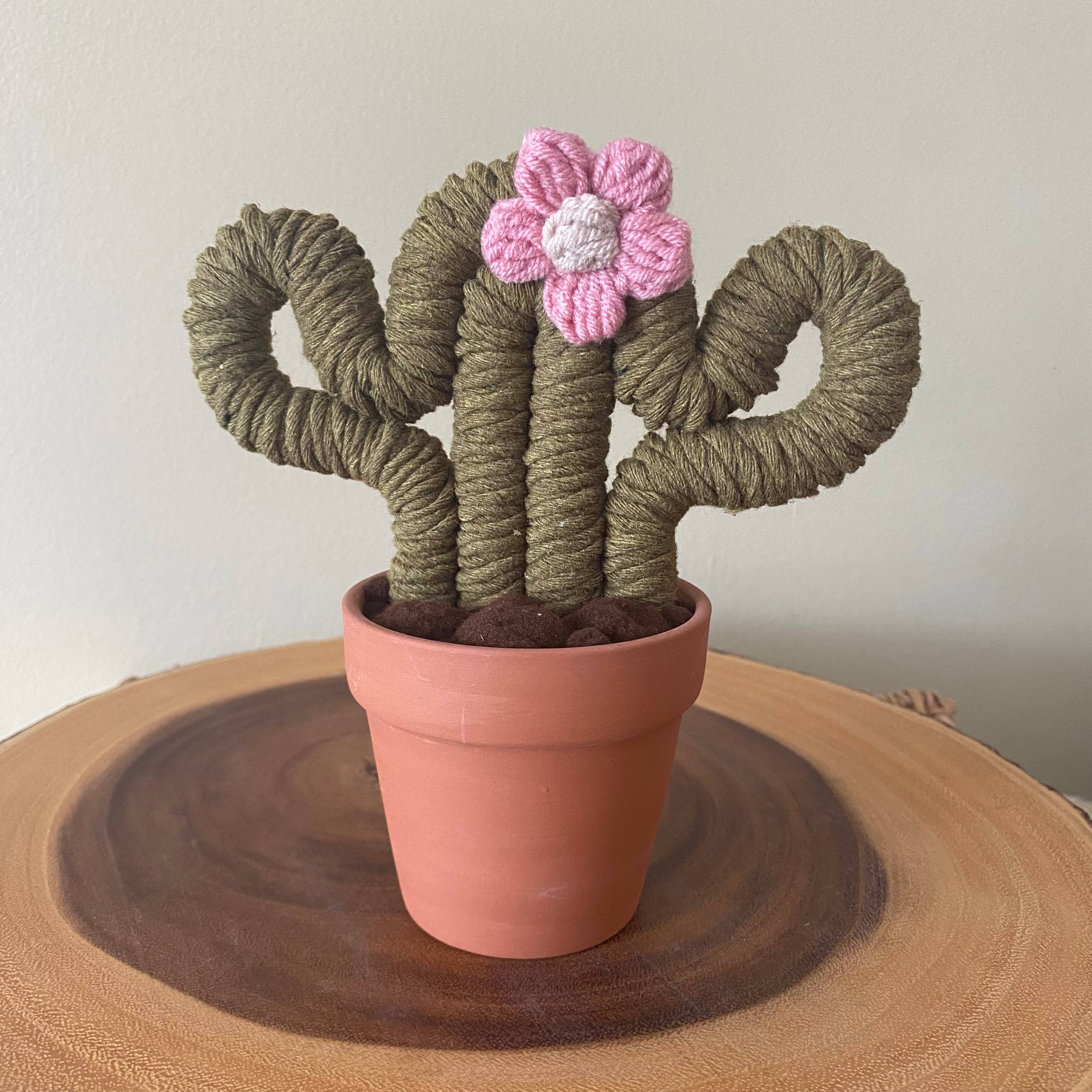 ForgetBKnot - Vente Plantes artificielles - Plante Éternelle Cactus en Macramé (Moyen & Petit)6