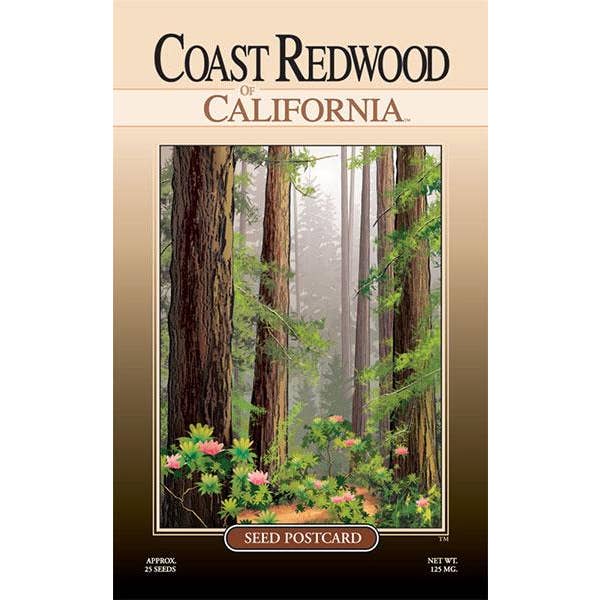 Created By Nature - Wholesale Plant Seeds - Coast Redwood Tree Seed Packet