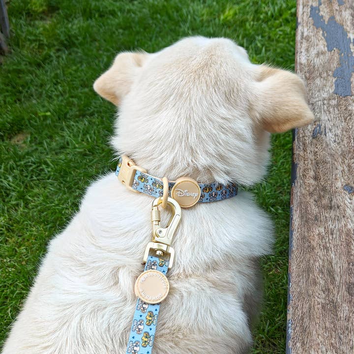 Pawsome Paws - Vendita all'ingrosso Guinzaglio - Cani - Disney© Lead - Gli amici dei leoni11