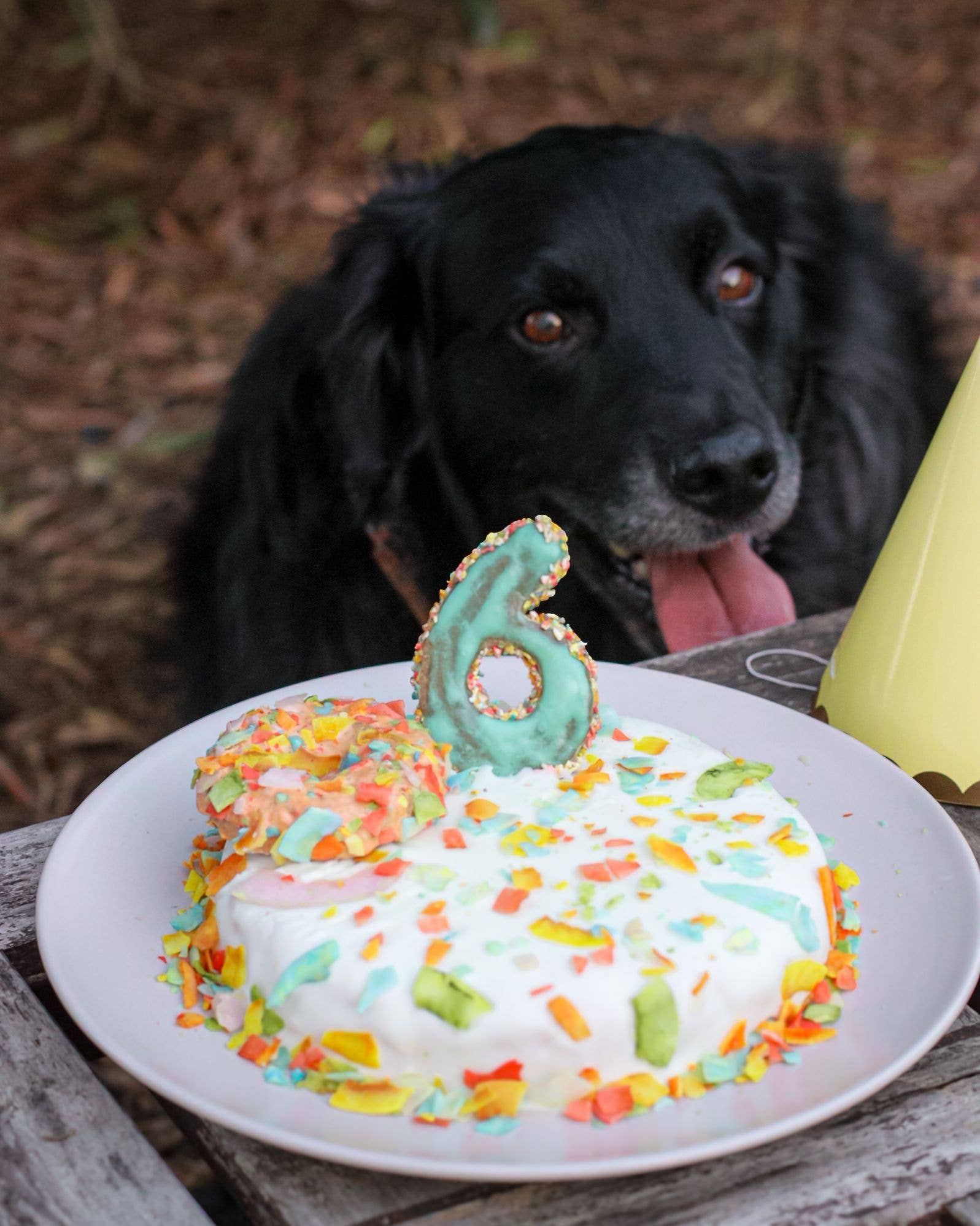 Cooka's Cookies - Wholesale Pet Treats - Dog - Cake in a Box - Chicken or Krill Cake Mix for dogs6