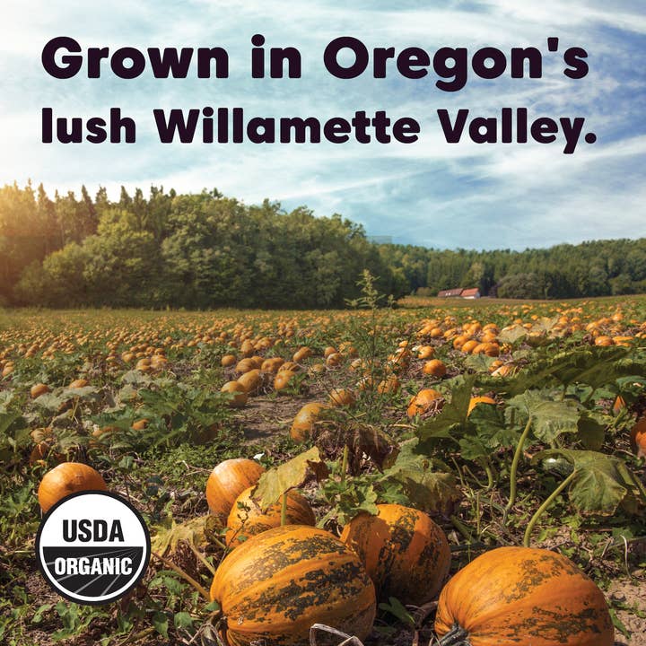 Wilderness Poets - Wholesale Seeds/Kernels - Organic Oregon Pumpkin Seeds2