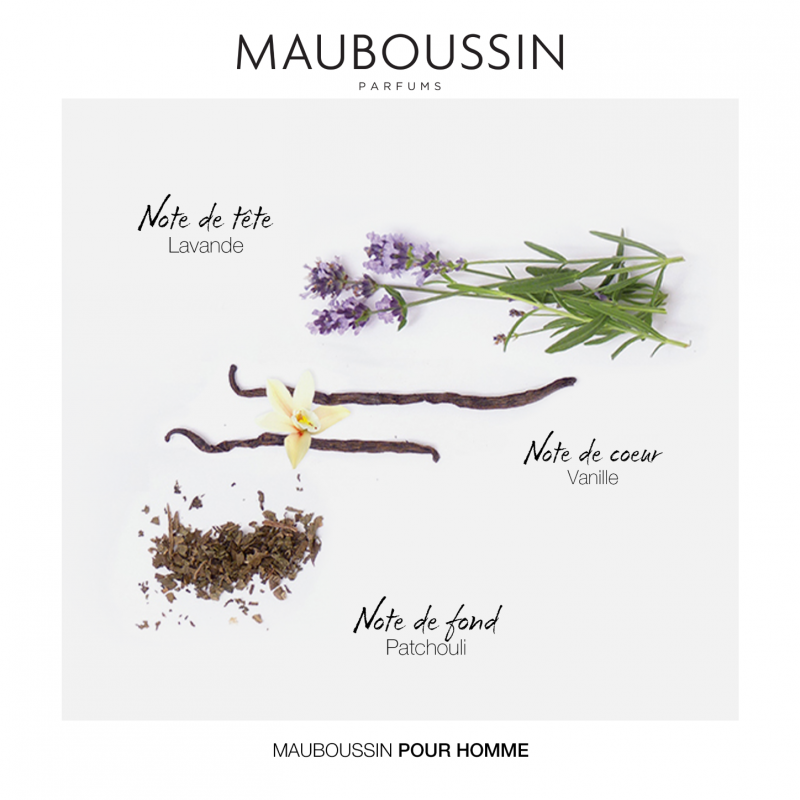 Mauboussin Parfums - Wholesale Perfume/Eau de Toilette - Mauboussin Original Homme Eau de Parfum for Men1