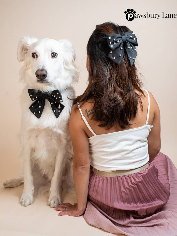 Noeuds assortis pour propriétaire et animal de compagnie - Sucre et Perles - Jet pour la vente par Pawsbury Lane