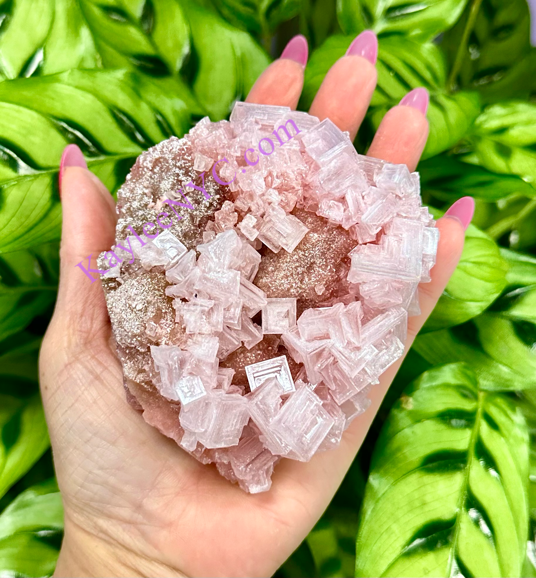 KayleeNYC - Wholesale Spiritual Stone/Crystal - Natural Pink Halite Specimen Raw Crystal9