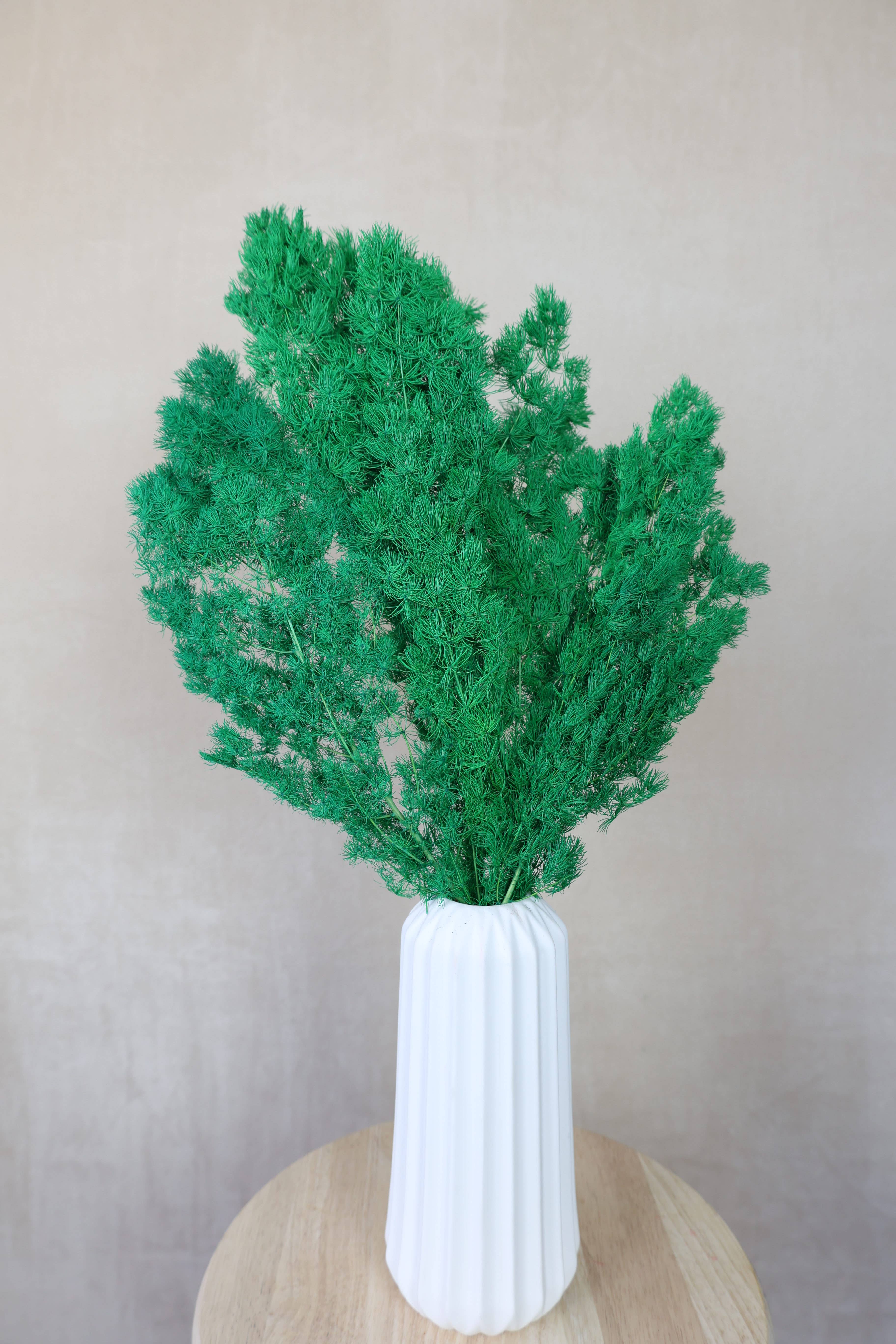 FlowerFantaSee - Wholesale Dried/Pressed Flowers - Preserved Ming Fern1