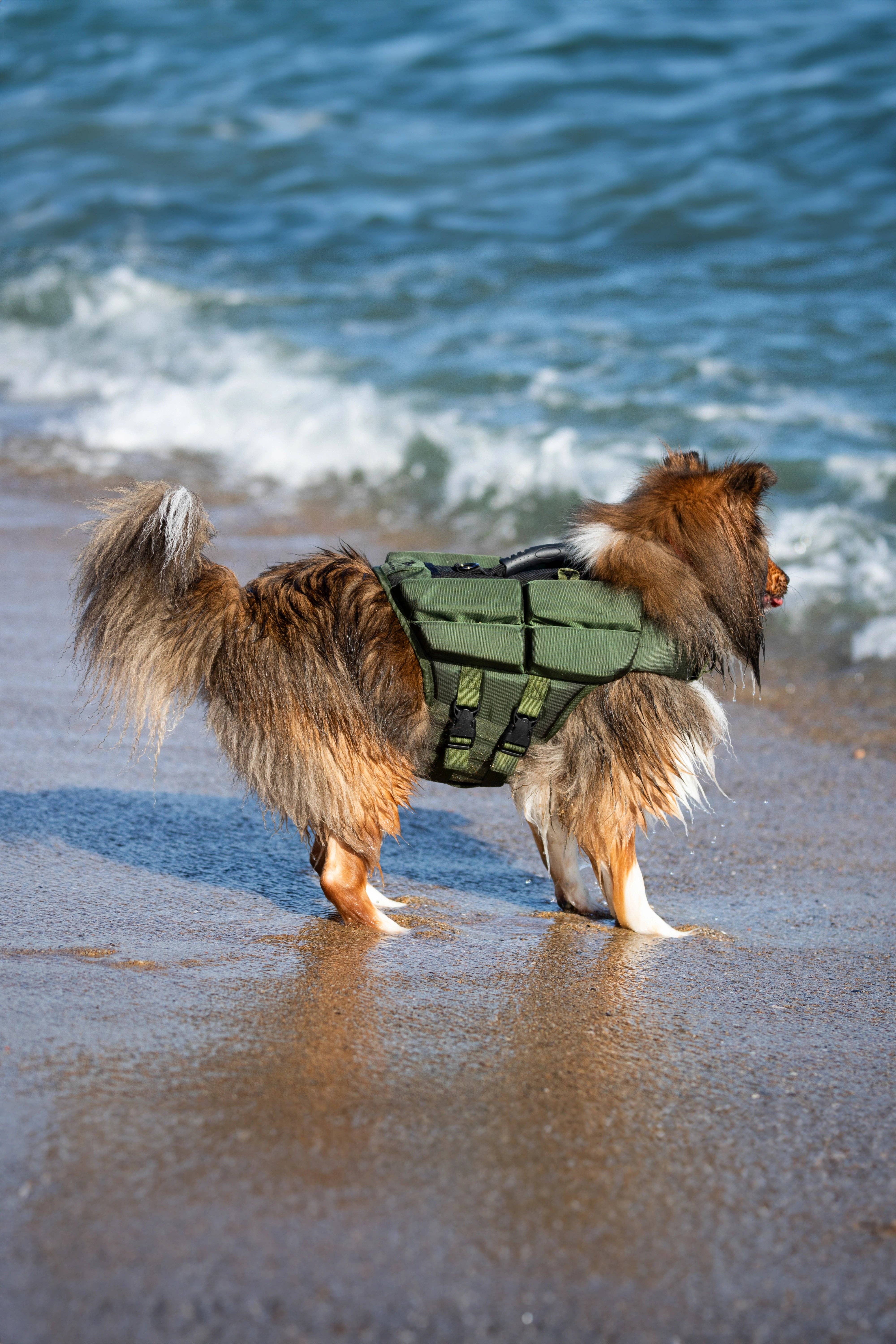 NOAH AND PAW LLC - Wholesale Pet Jacket - Dog - Human Standards Dog Lifejacket Design with 4x Foam Support for Max Floating - Green9