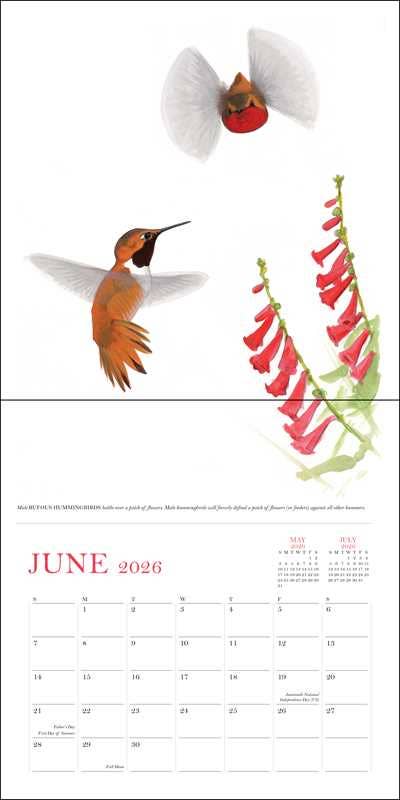 Simon & Schuster - Wholesale Calendar - Sibley's Birds of North America 2026 Wall Calendar by David Allen Sibley2