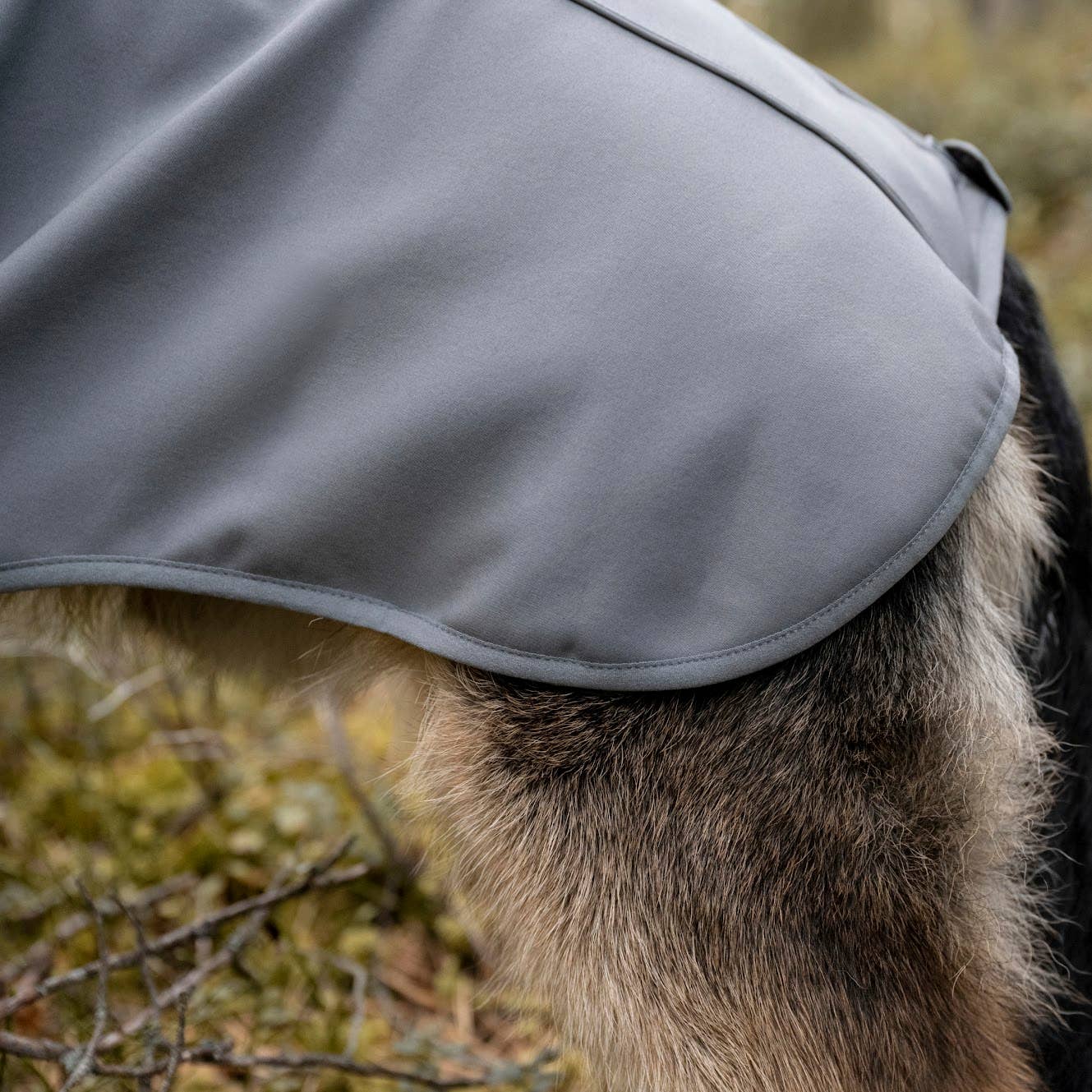 FINNERO - Wholesale Pet Jacket - Dog - UPGRADED MODEL! FINNERO SPORT Softshell Jacket for dogs3