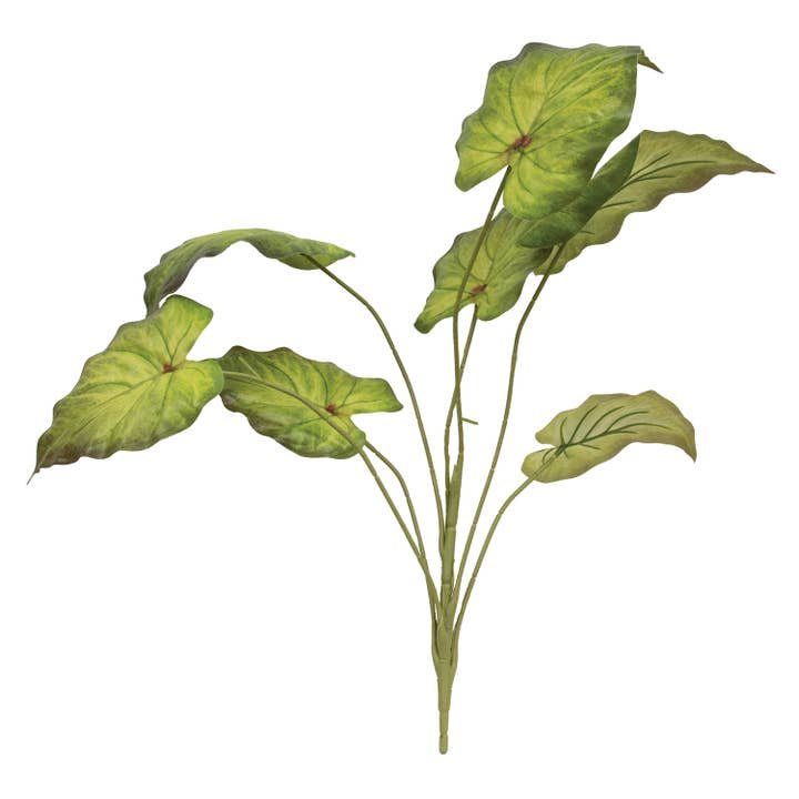 Perilla bladbusk - 24" for engroshandel hos Saybrook Lane