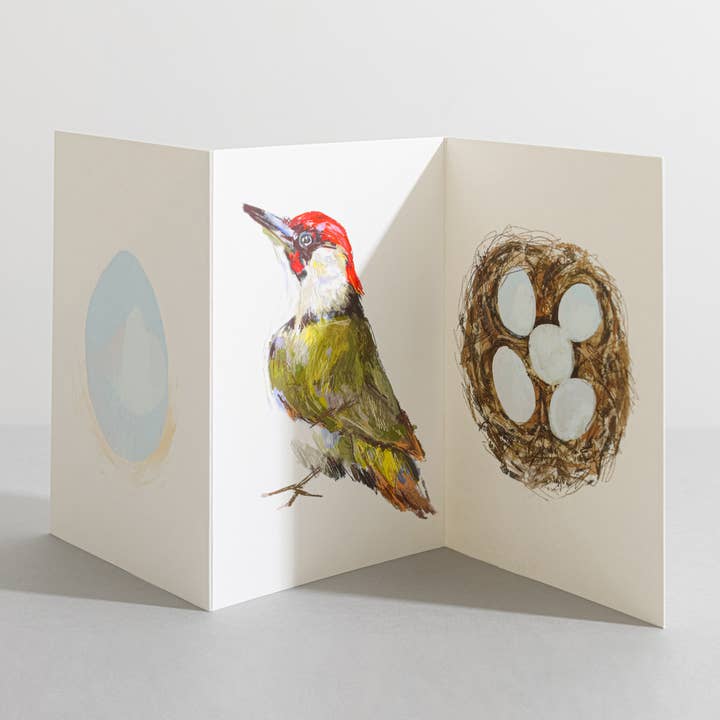 Green Woodpecker Bird Nature Lover Concertina Card for wholesale by Sara Sayer