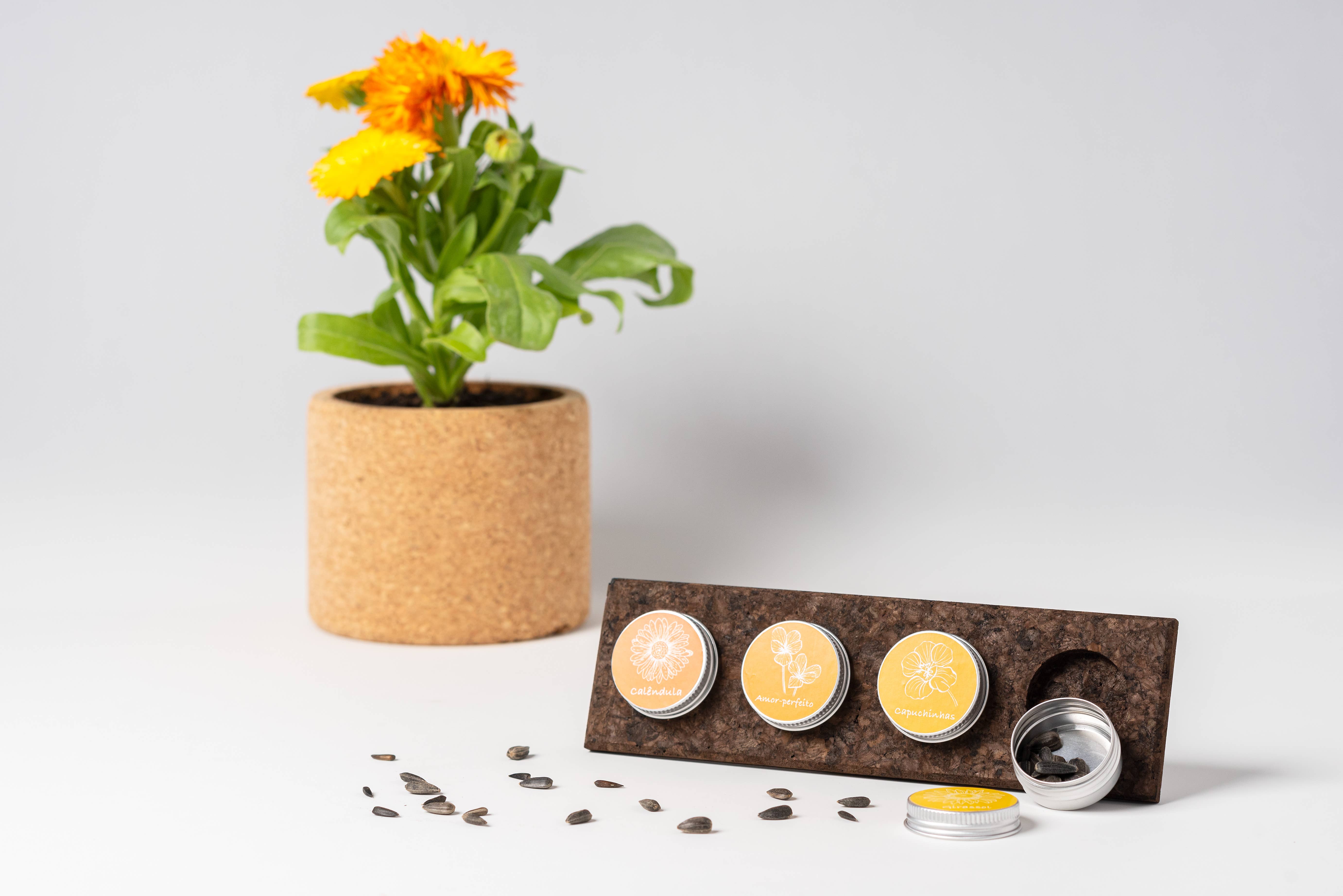 Life in a bag - Wholesale Plant Seeds - Seeds Collection - Flowers3