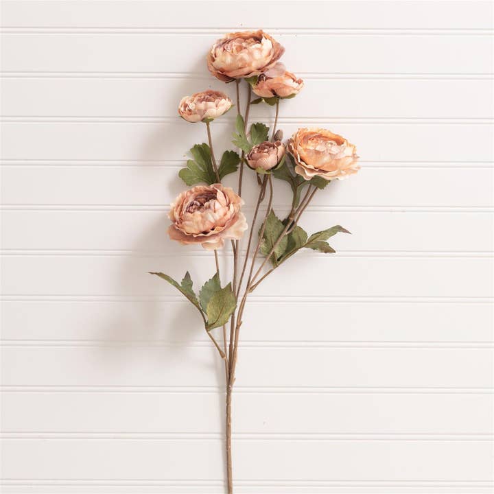 Pick - Ranunculus Blush (PK/12) for wholesale by Audrey's Home & Gift