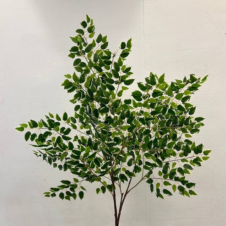 SY20019 MINI FICUS TREE BRANCH,47in for wholesale by Green Import Limited