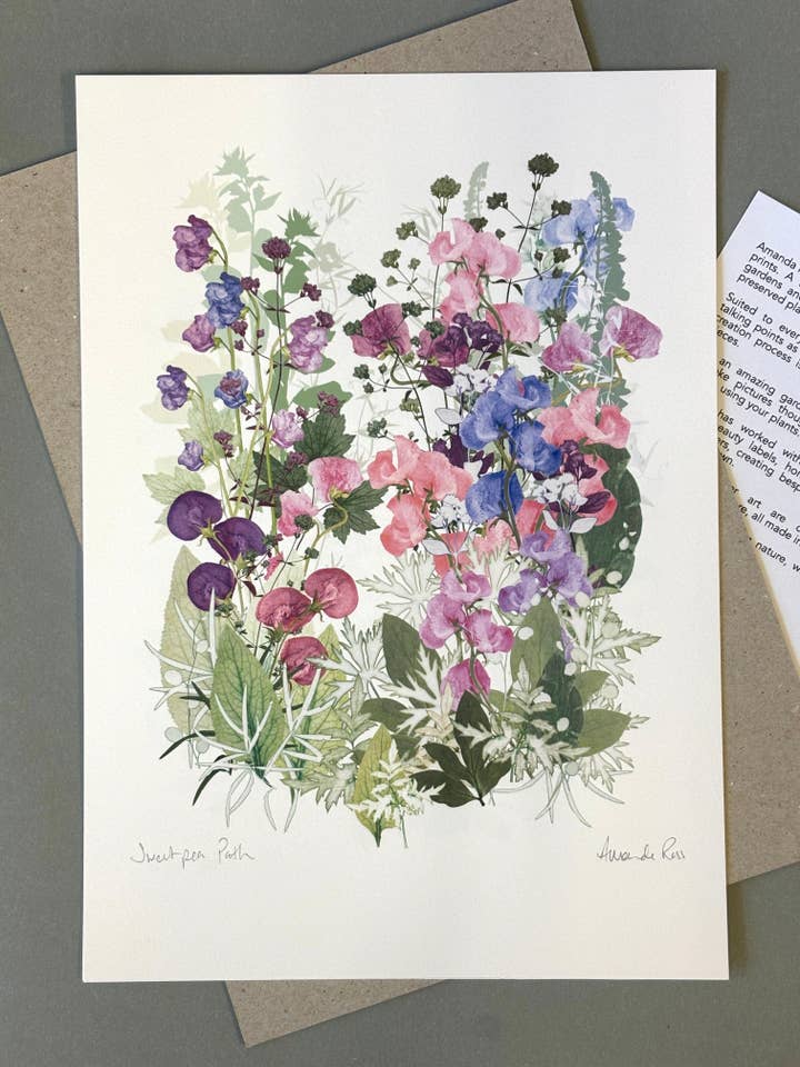 Sweet Pea Path paper print US Size for wholesale by Amanda Ross