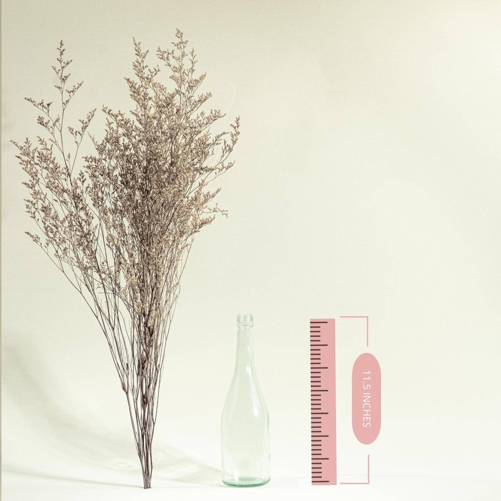 Sola Wood Flowers - Wholesale Dried/Pressed Flowers - Preserved Caspia - Silver1