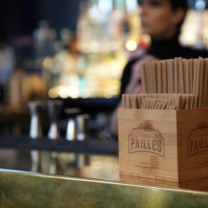 Novela Global - Wholesale Drinking Straw - Bagasse straw |21cmØ6mm |Does not soften |Made In France | 500pcs6