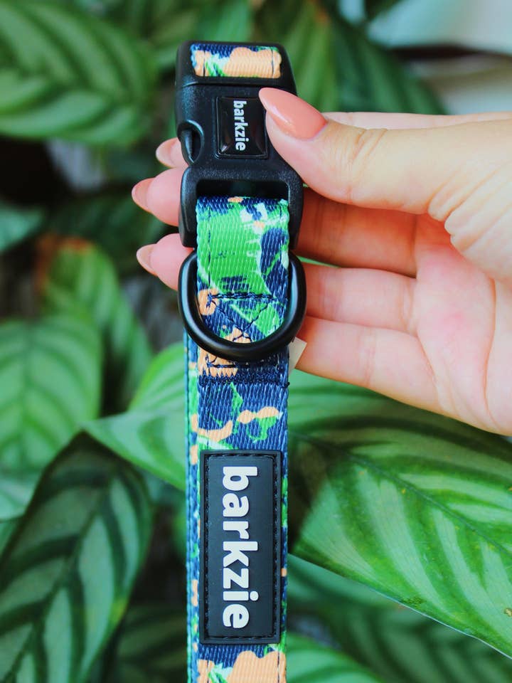 Collar - Bogota for wholesale by barkzie