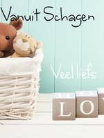 Cartão de Saudação Colorboost Iii - Caixa 148 por atacado de POSkaart | De Groot Design