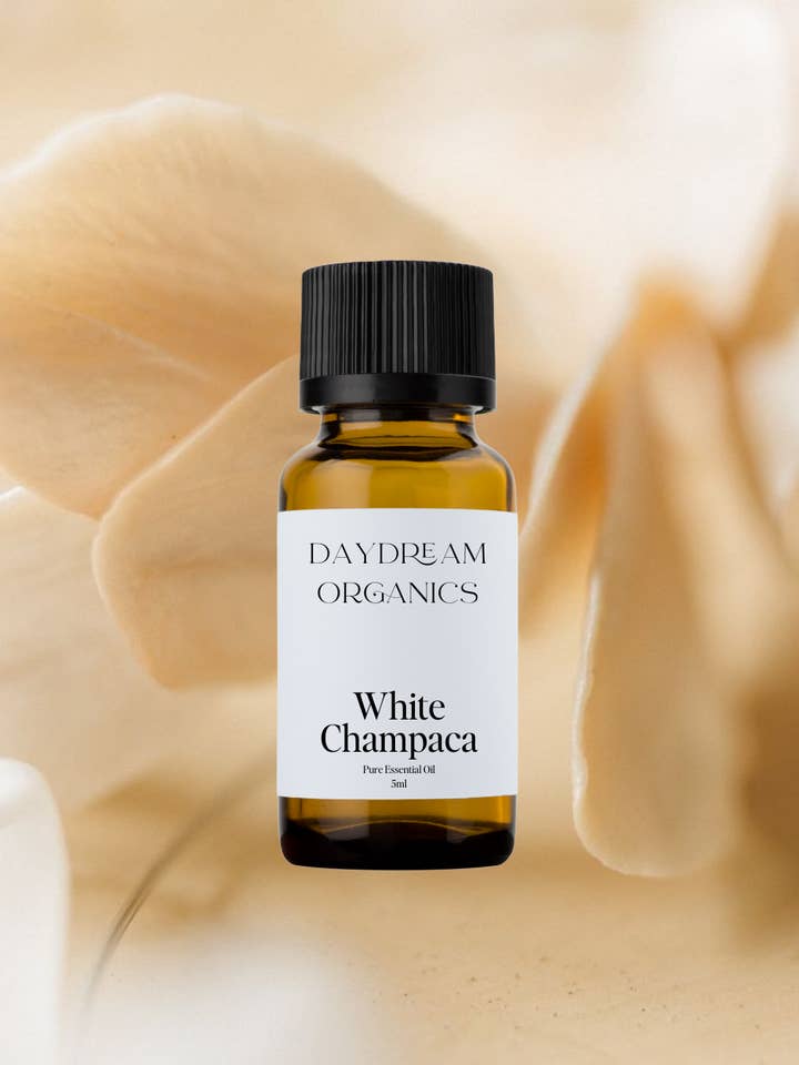Huile essentielle de champaca blanc pour la vente par Daydream Organics | Prairie Doctor Brand