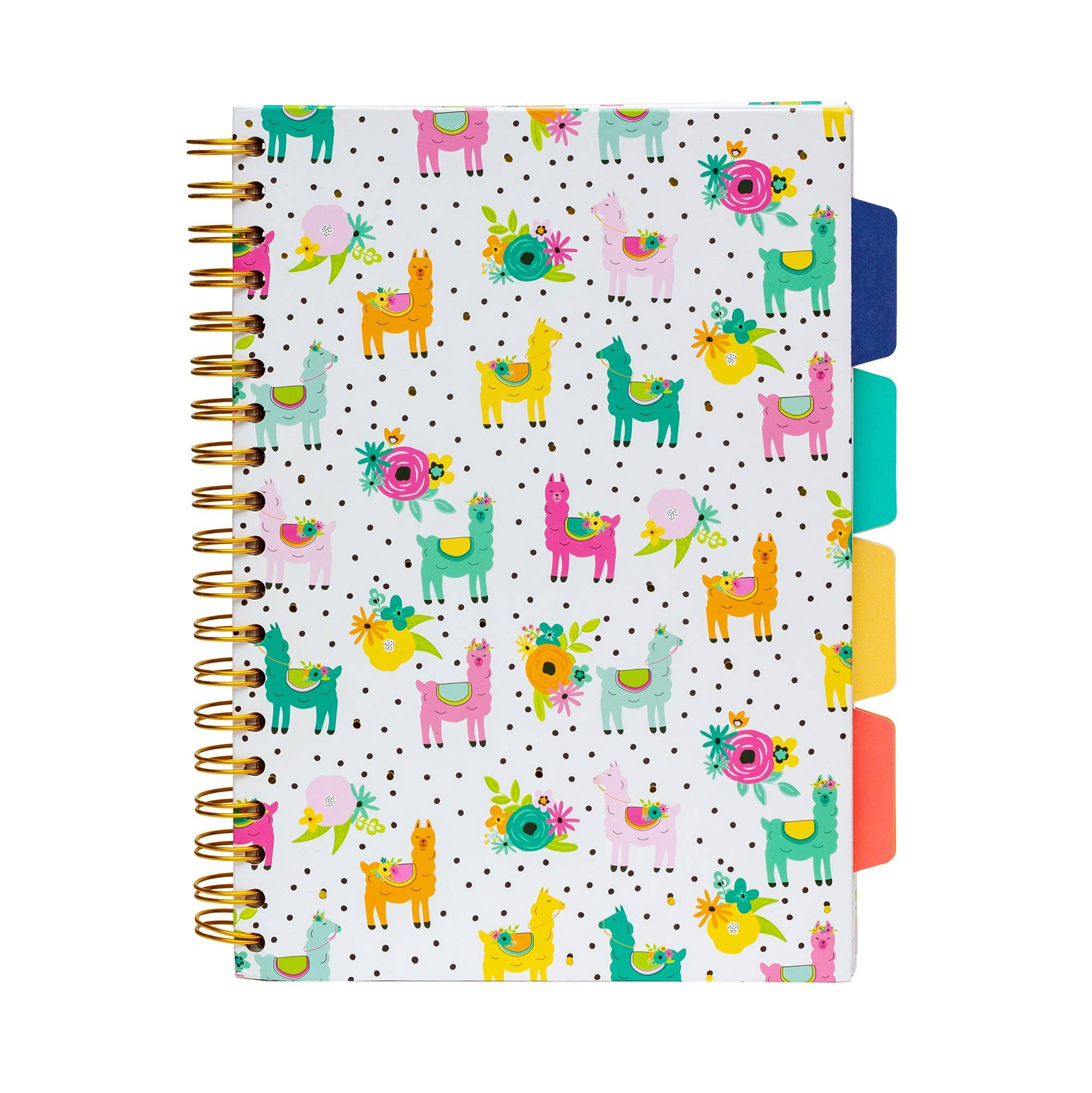 Pukka Pads North America - Wholesale Notebook - Carpe Diem Color Wash Project Book - assorted 3-pack4