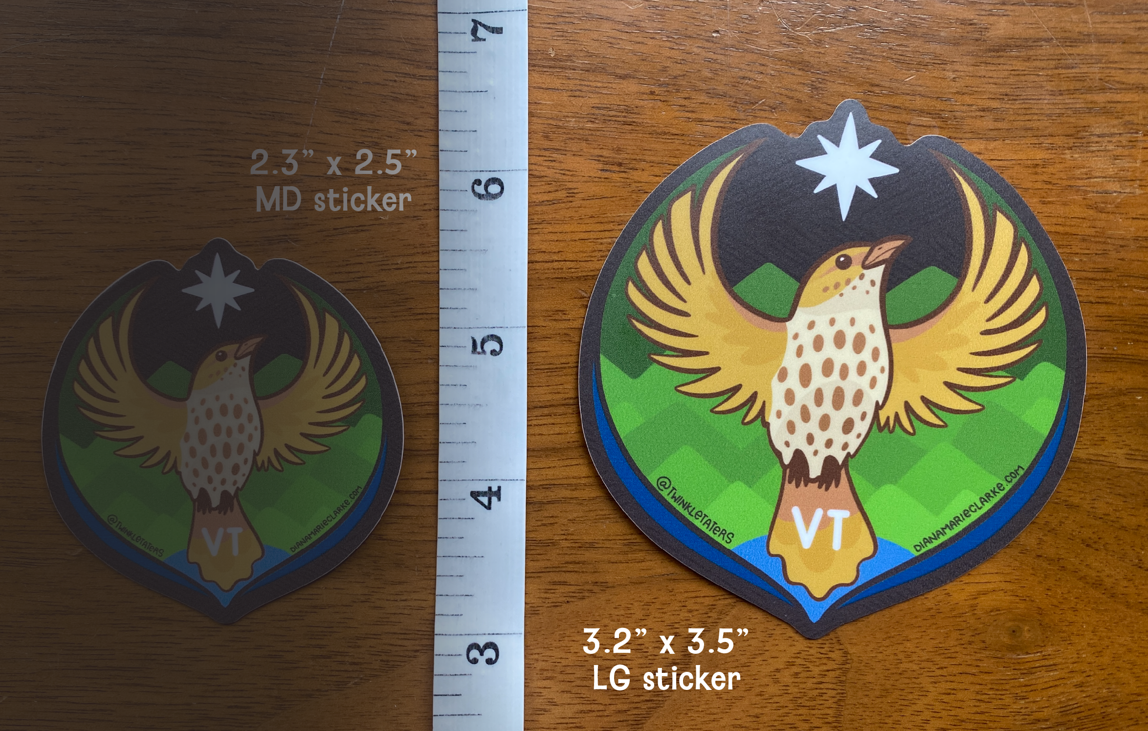 Designs by Diana - twinkletaters - Wholesale Sticker - Vermont Rebel Thrush Vinyl Sticker5