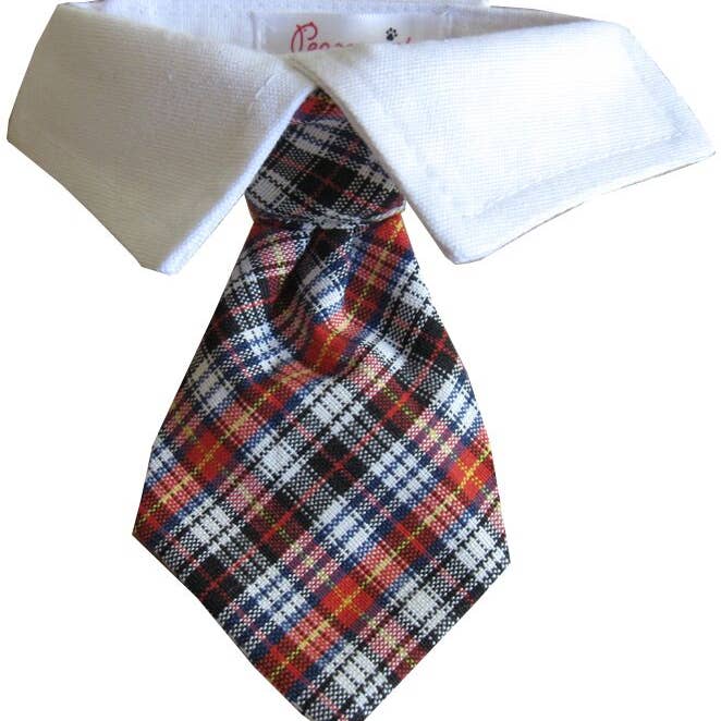 Nicholas Shirt Collar for wholesale by Pooch Outfitters