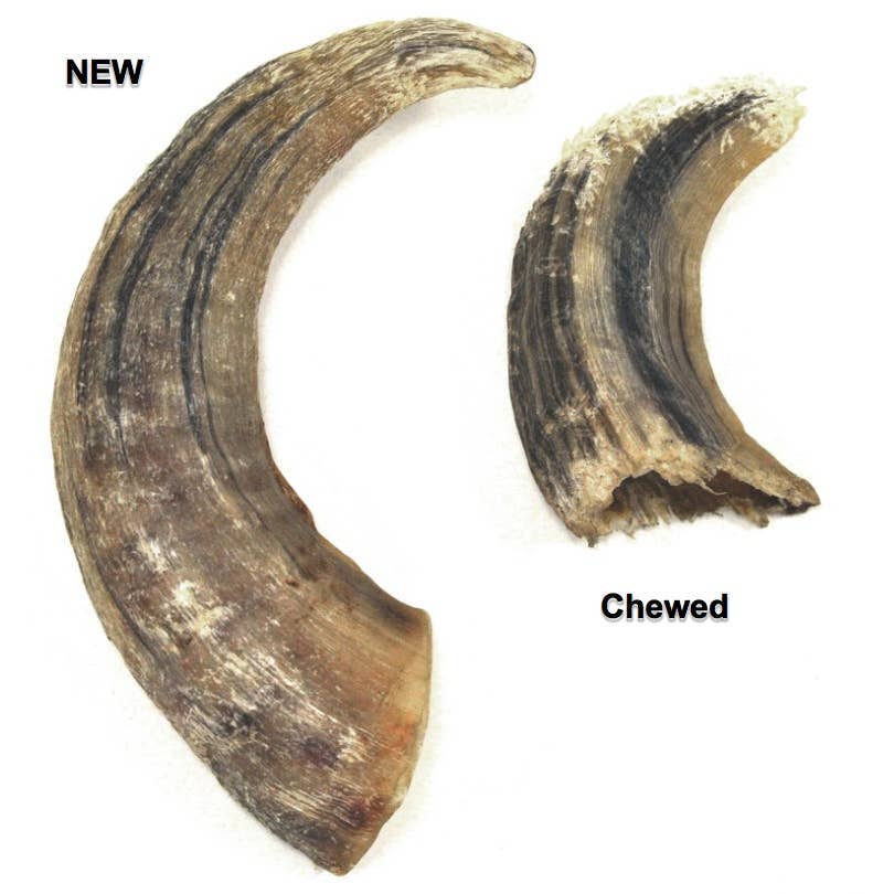 Icelandic+ - Vente Friandises – chien - Grande boîte de présentation Icelandic+ en corne d'agneau pour chiens, 12 ct5