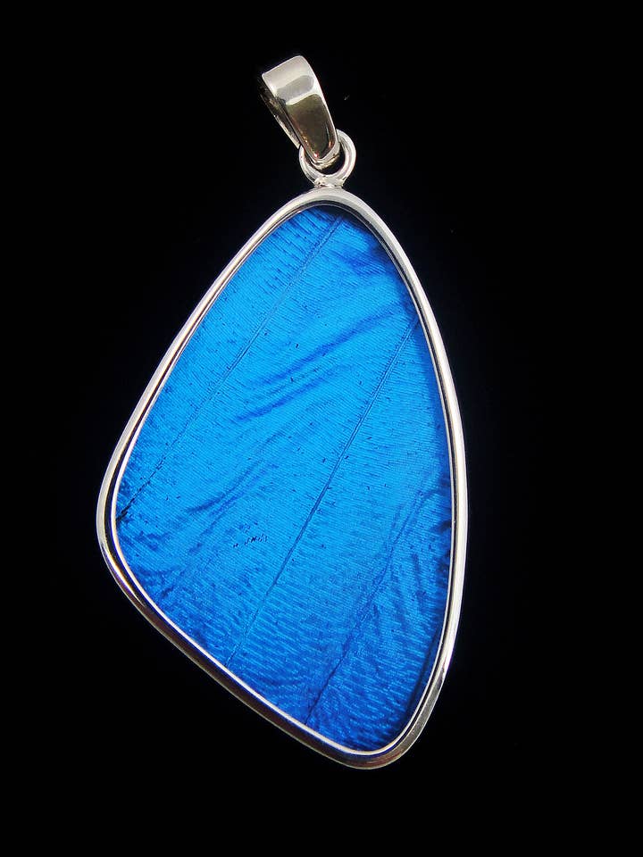 Shimmerwings "Blue Morpho" Large Butterfly Pendant for wholesale by Tika