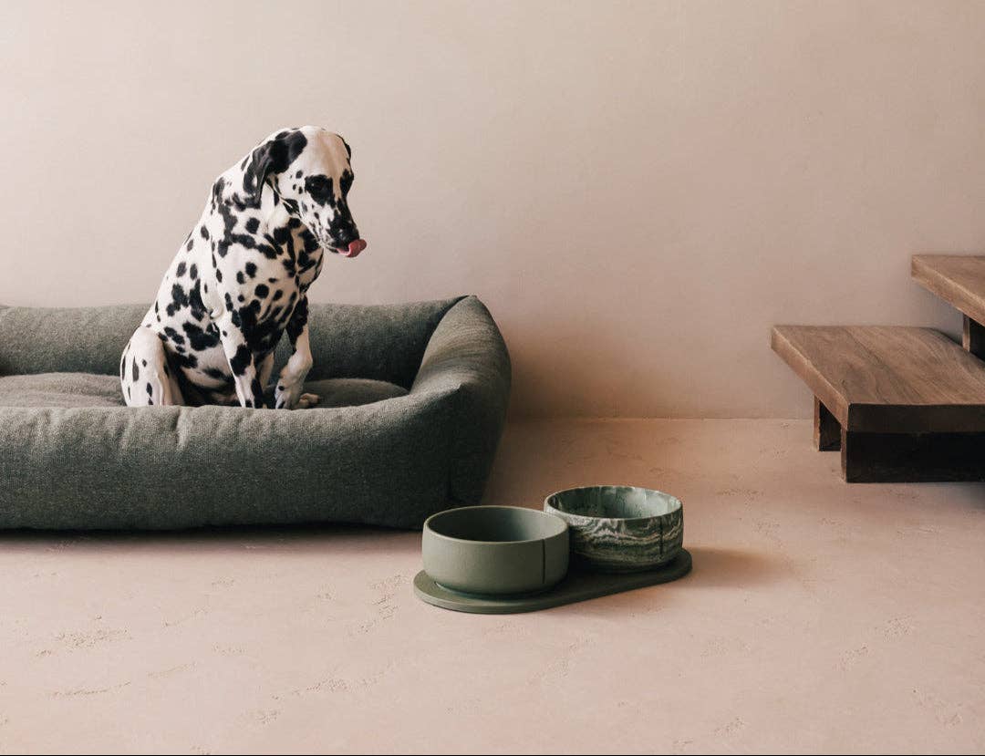 PINO – Engroshandel Kæledyrsskål – Hund – Klassisk skål34