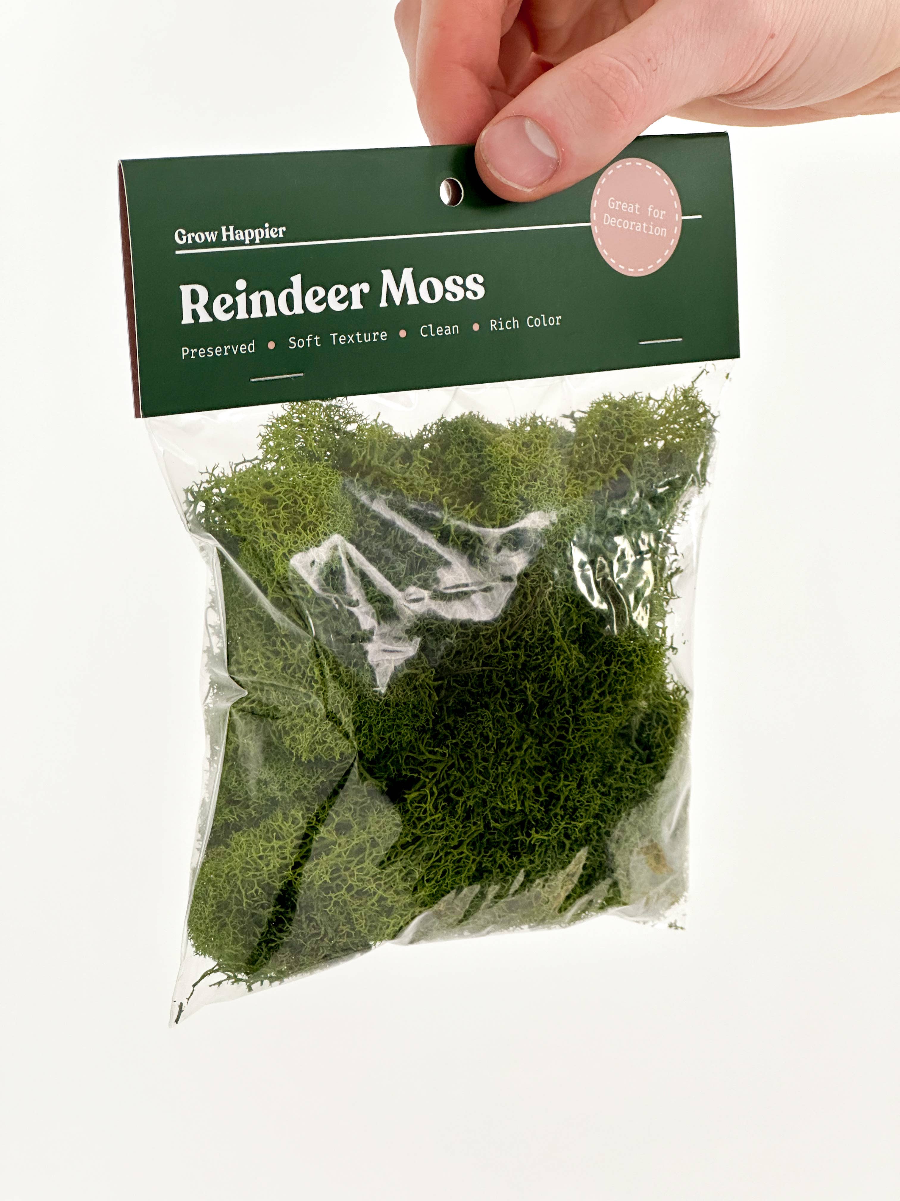 The Plant Supply - Wholesale Planting/Potting Soil - Preserved Reindeer Moss | Moss for Plants and Crafts11