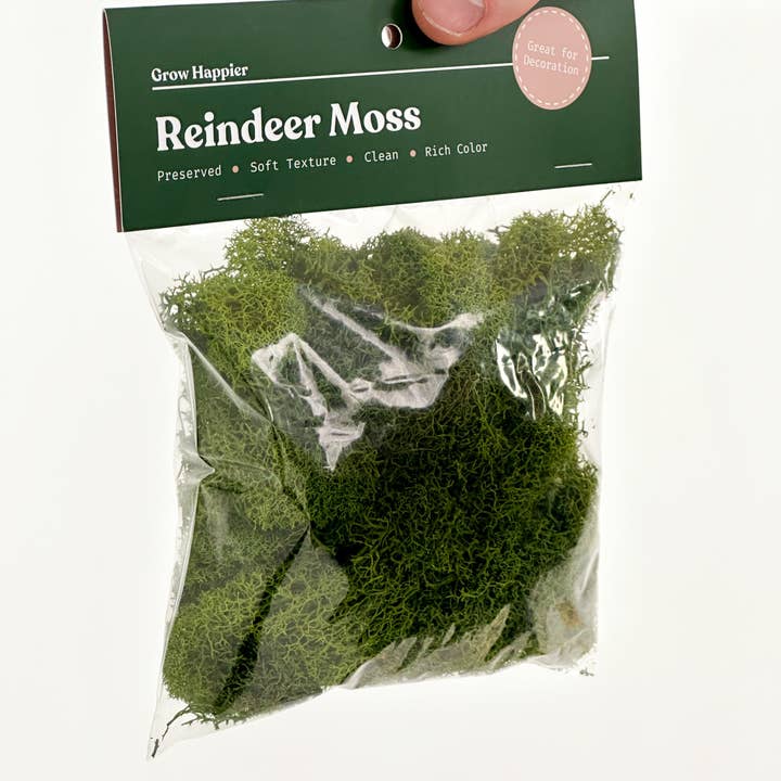The Plant Supply - Wholesale Planting/Potting Soil - Preserved Reindeer Moss | Moss for Plants and Crafts11