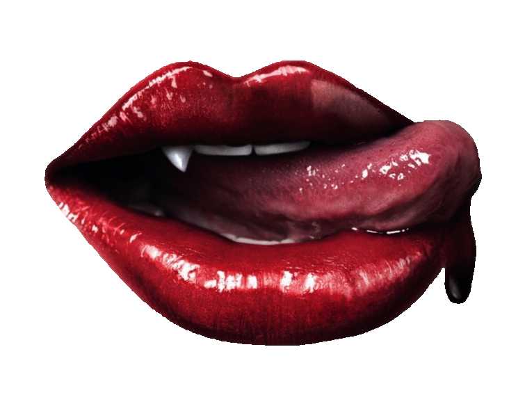 Arômes & Évasions - Wholesale Incense - Incense Box -Vampire Blood -40g1