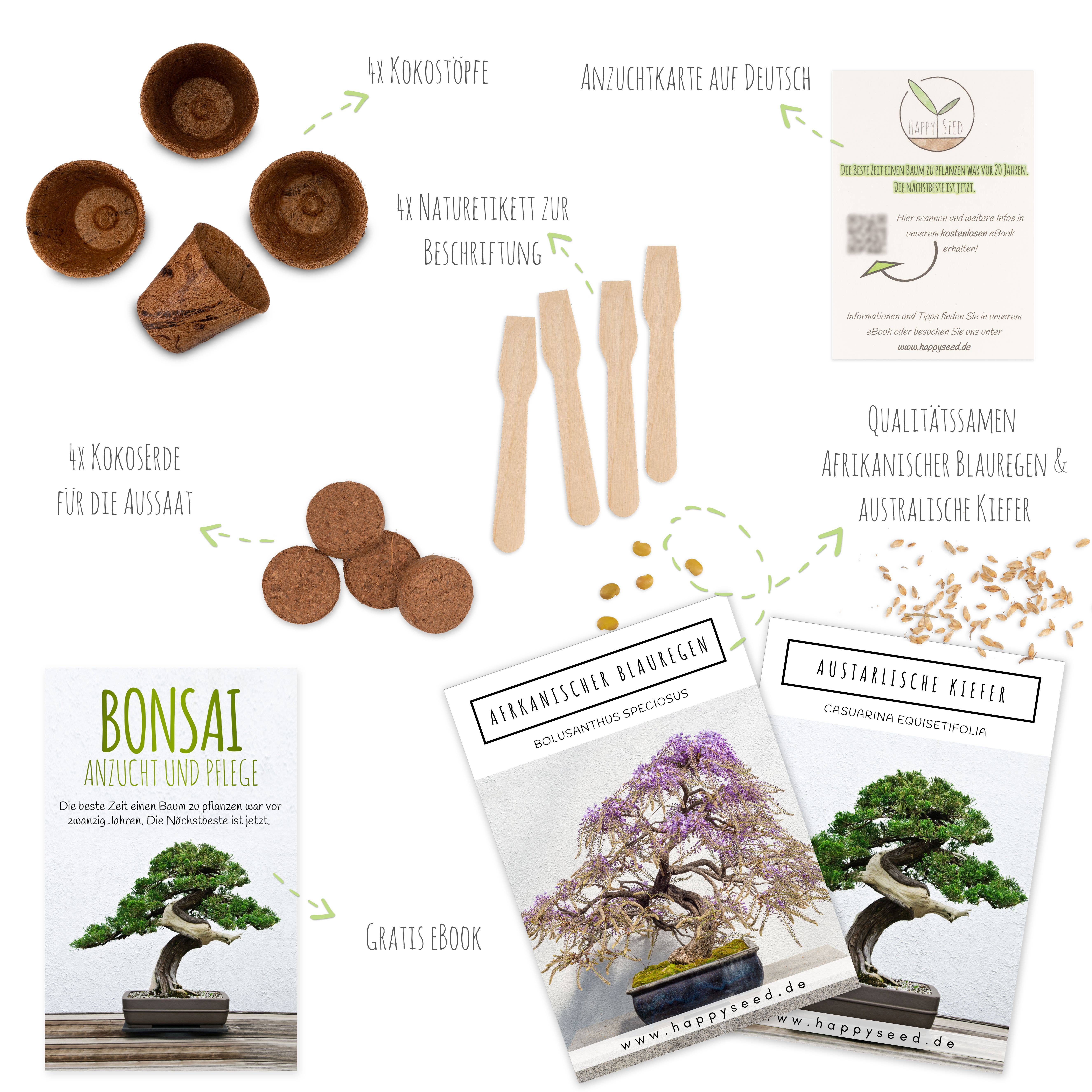 Vendix GmbH - Wholesale Plant Seeds - Bonsai starter kit growing kit including free eBook1