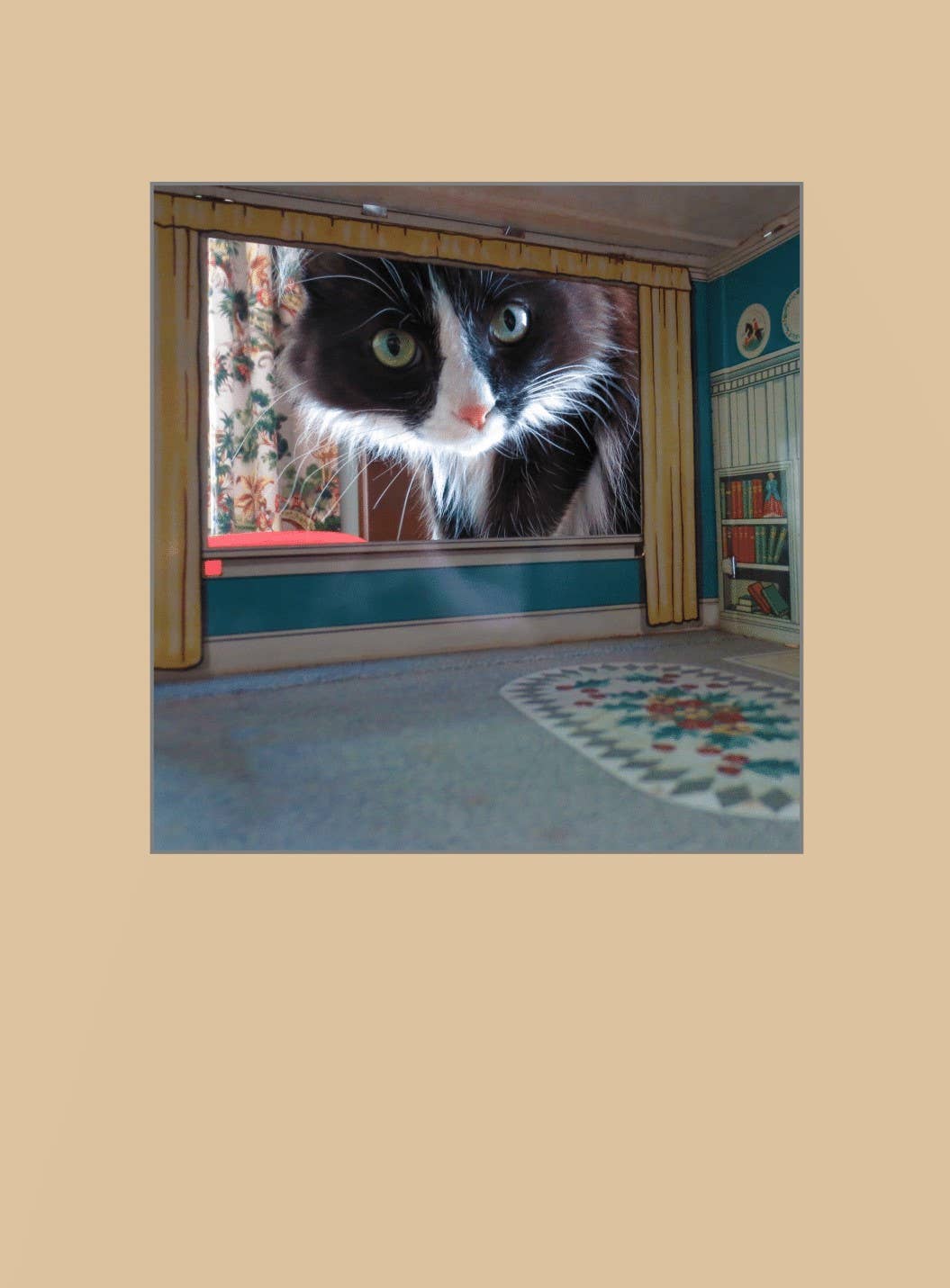 1216 Trading Company - Wholesale Birthday Card - Paw Talk Greeting Card - Occasions - 040481