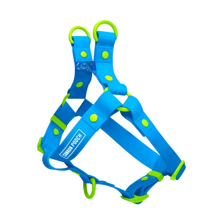 Vattentät hundsele (blå) för wholesale av Canada Pooch